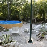 Woodland Paradise Charming Wooden In Stone