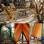 Woodland Paradise Charming Wooden In Stone *