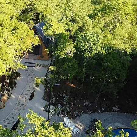 Woodland Paradise Charming Wooden In Stone *