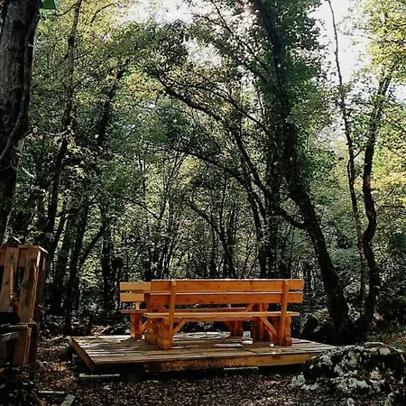 Woodland Paradise Two Charming Wooden In The Stone